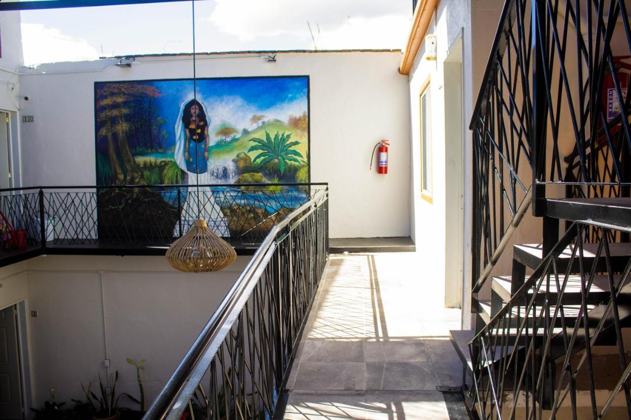 Отель Casa Gubidxa Oaxaca Экстерьер фото